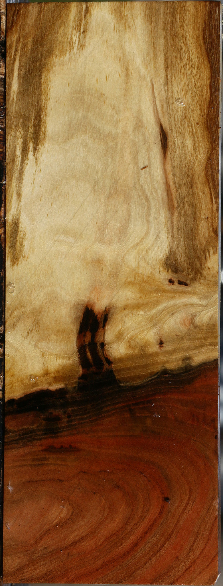 Extra Fancy Grafted Pistachio Lumber