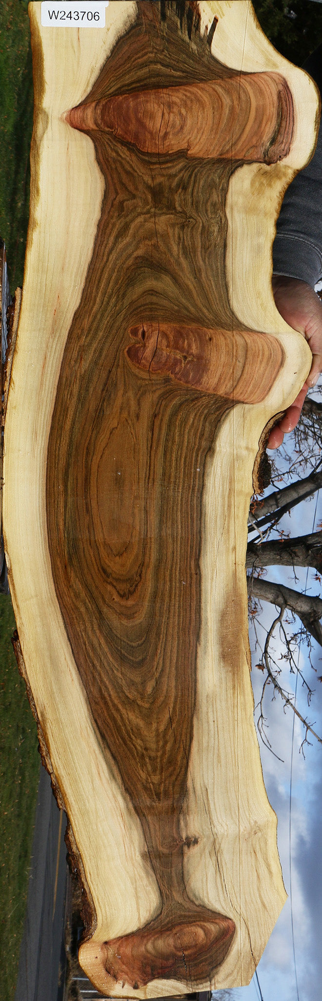 Pistachio Live Edge Lumber