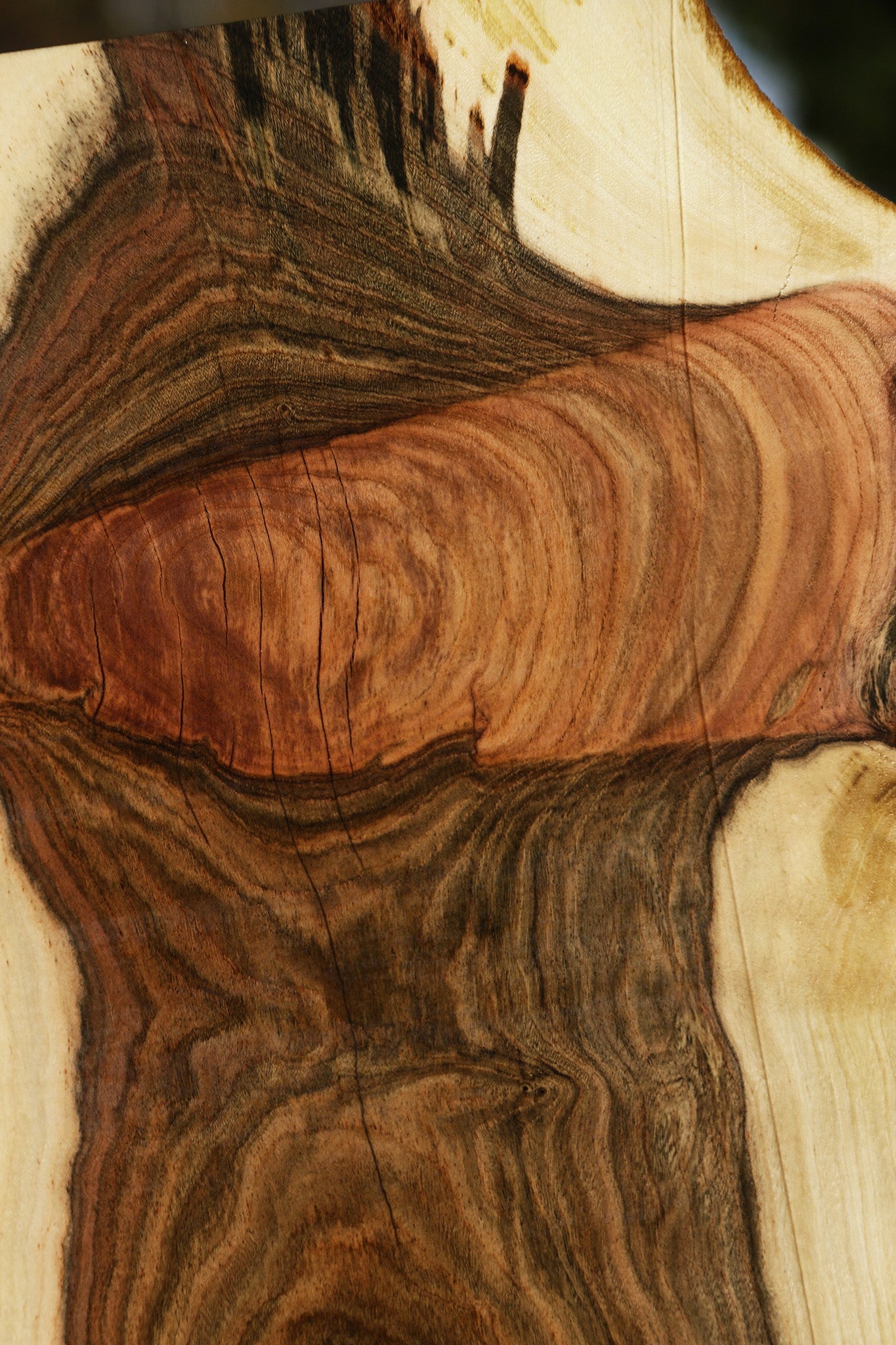 Pistachio Live Edge Lumber