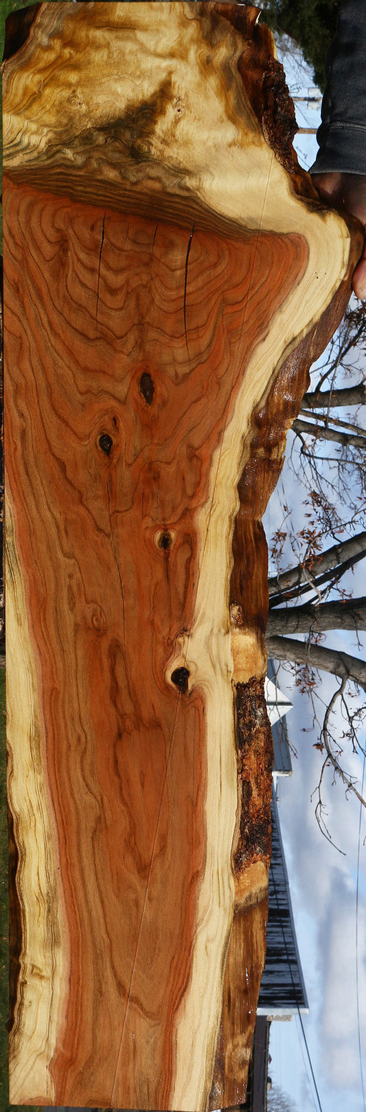 Figured Rustic Grafted Pistachio Live Edge Lumber