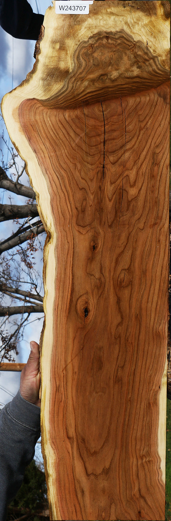 Figured Rustic Grafted Pistachio Live Edge Lumber