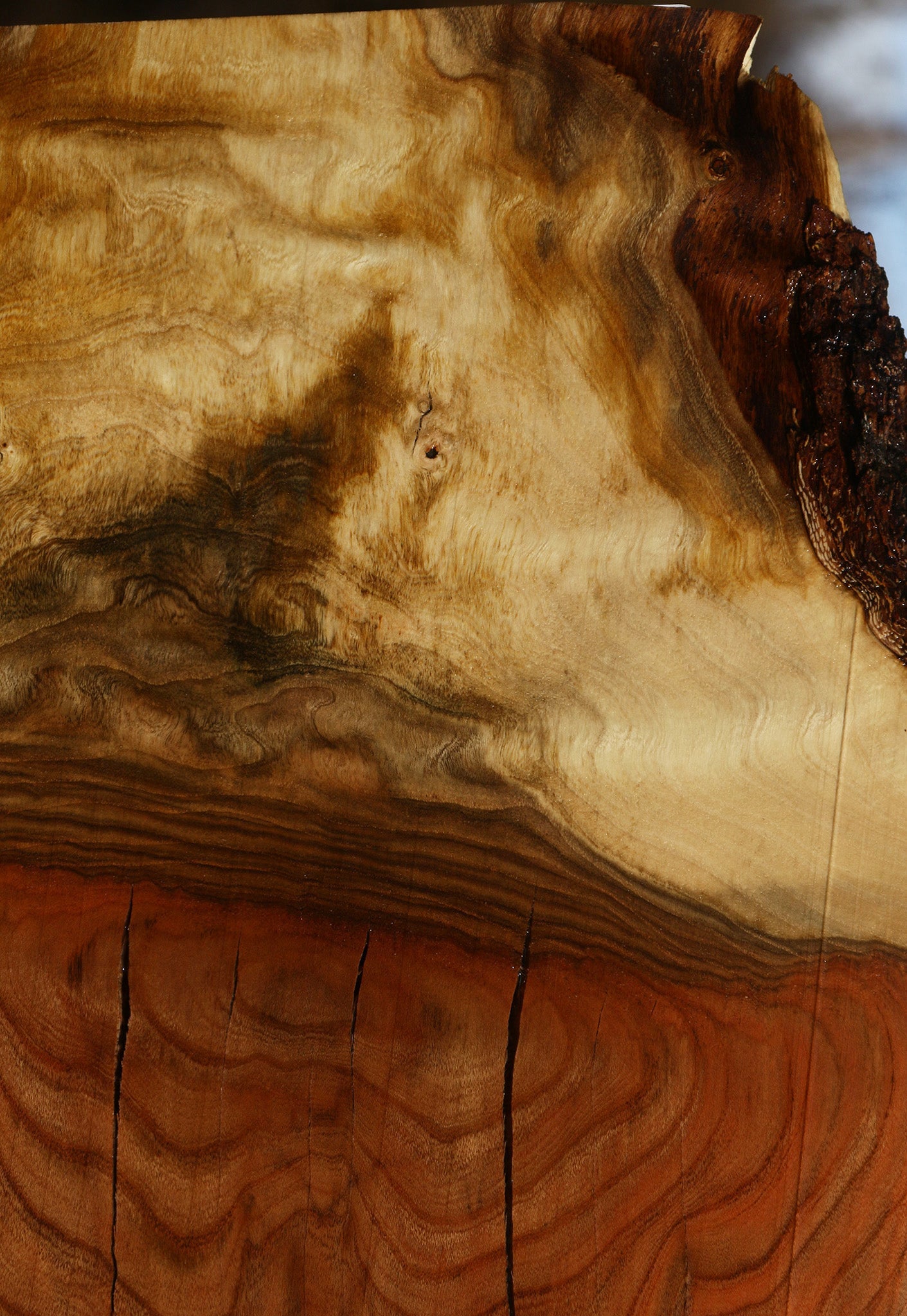 Figured Rustic Grafted Pistachio Live Edge Lumber