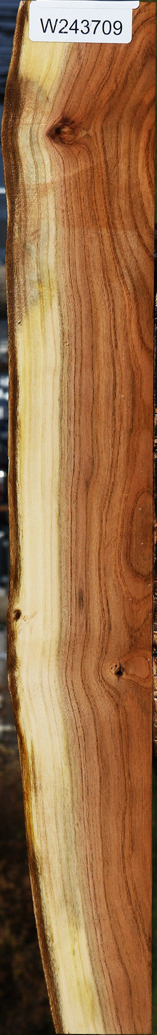 Pistachio Live Edge Lumber