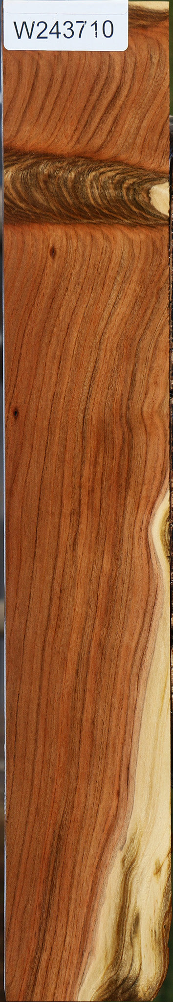 Grafted Pistachio Lumber