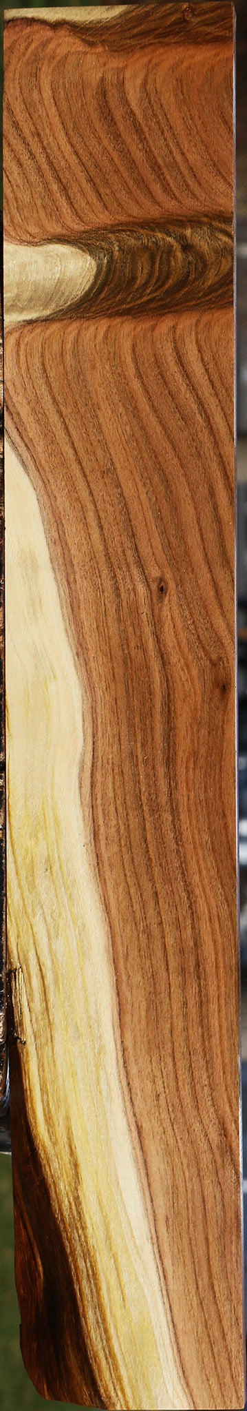 Grafted Pistachio Lumber