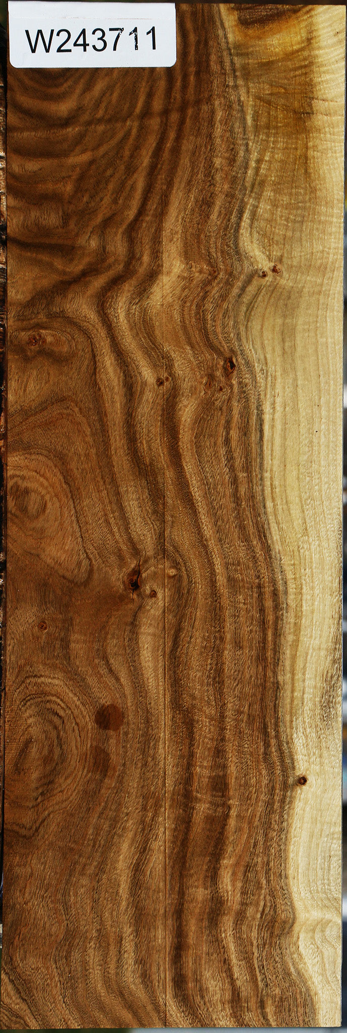 Extra Fancy Pistachio Lumber