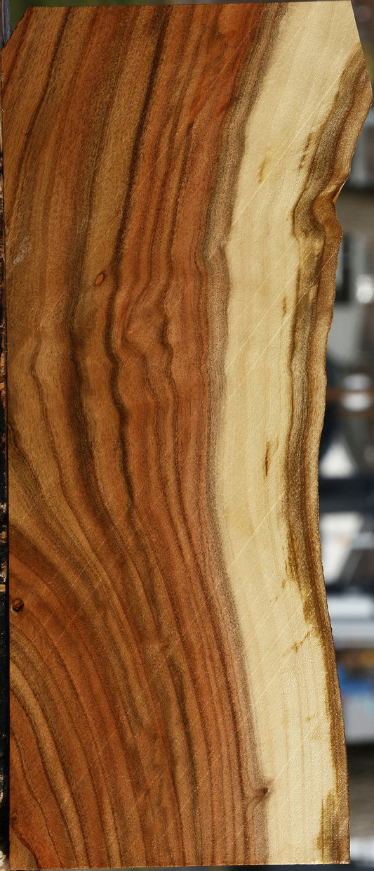 Pistachio Live Edge Lumber