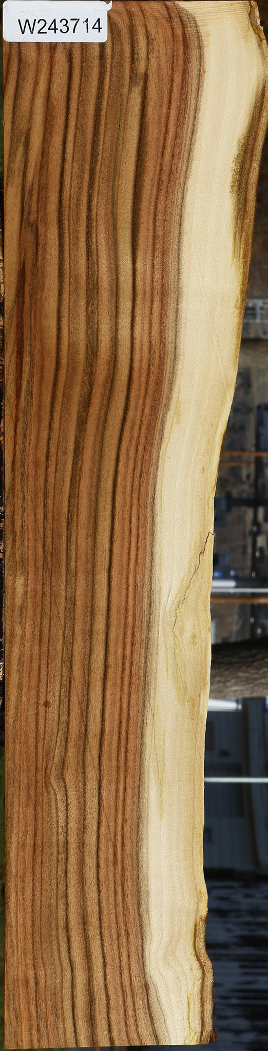 Pistachio Live Edge Lumber