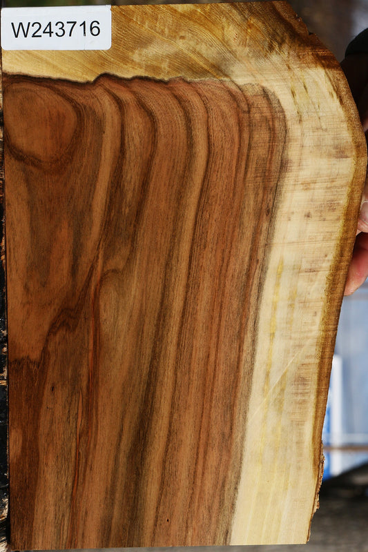 Pistachio Live Edge Lumber