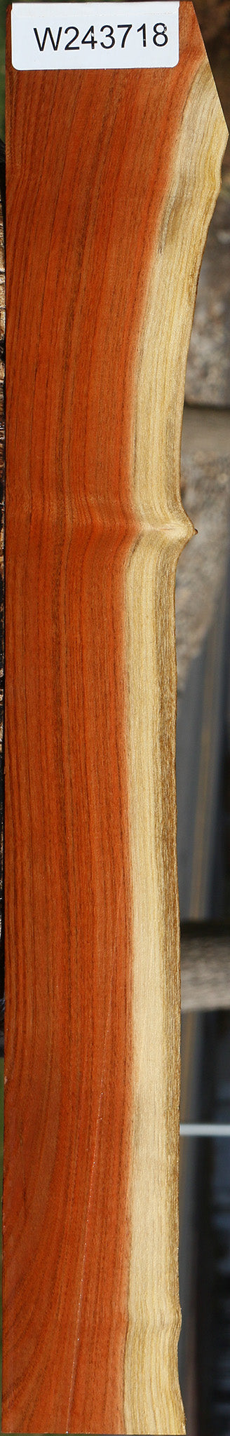 Pistachio Live Edge Lumber