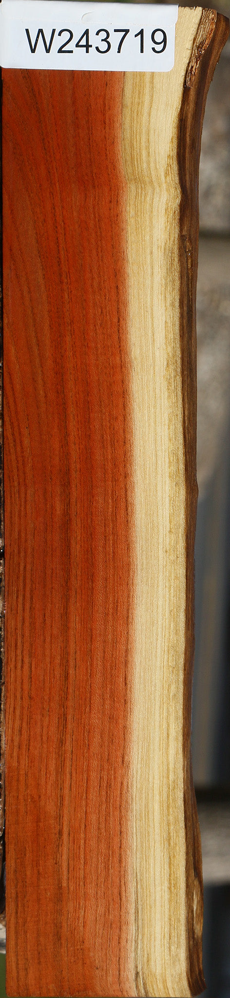 Pistachio Live Edge Lumber