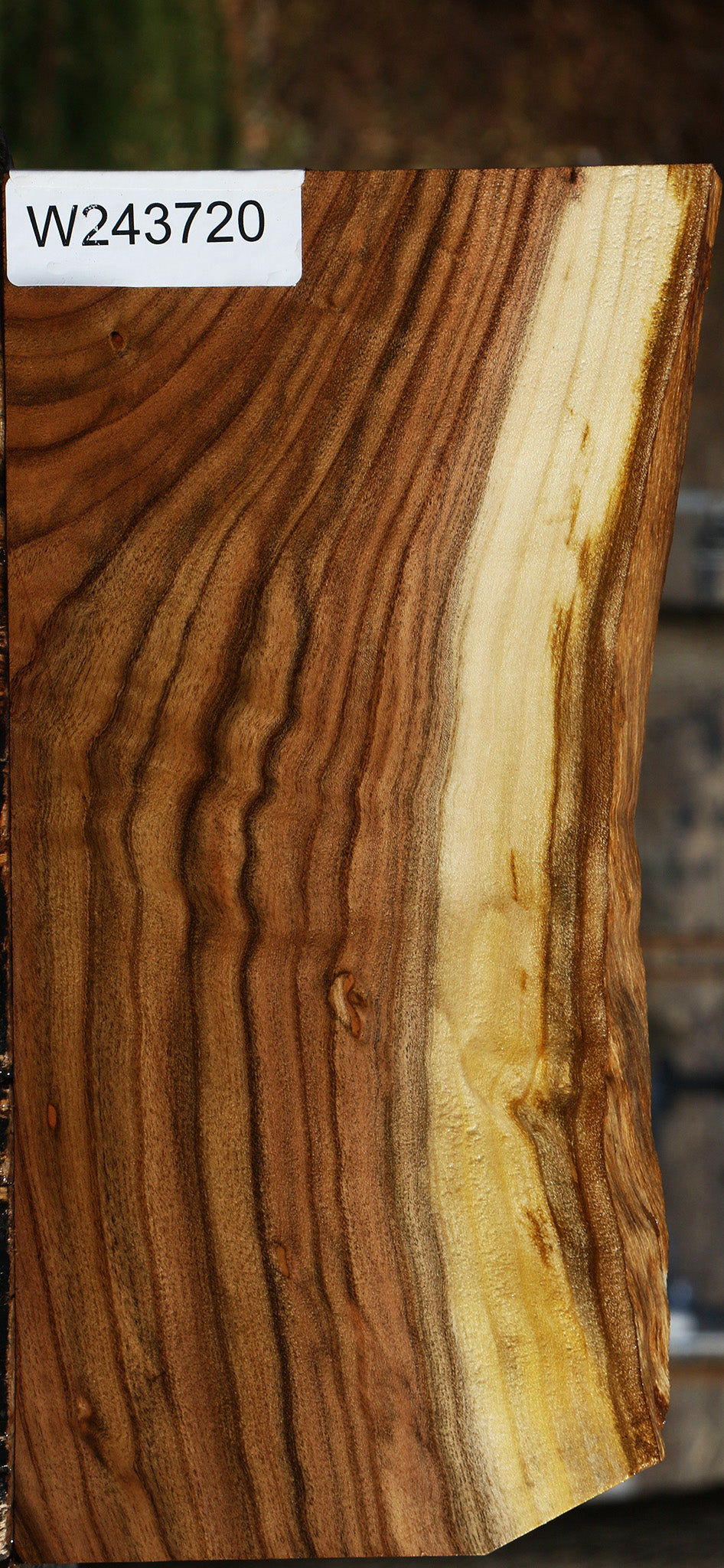 Extra Fancy Pistachio Live Edge Lumber