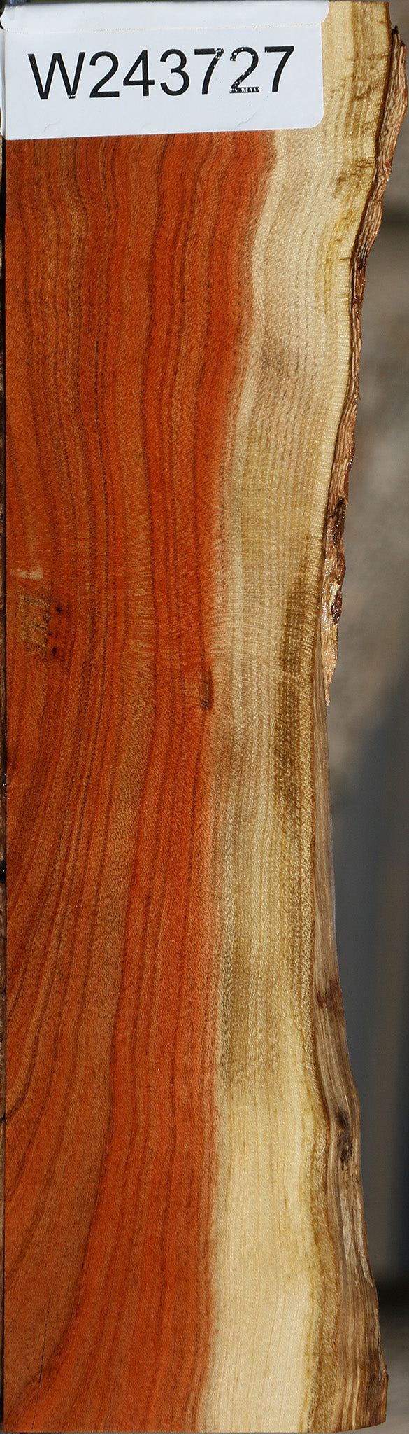 Pistachio Live Edge Lumber