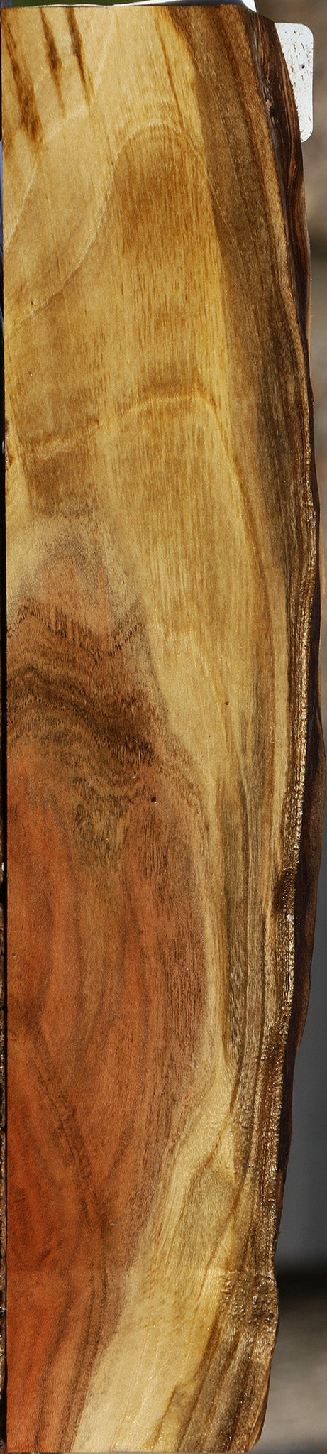 Pistachio Live Edge Lumber