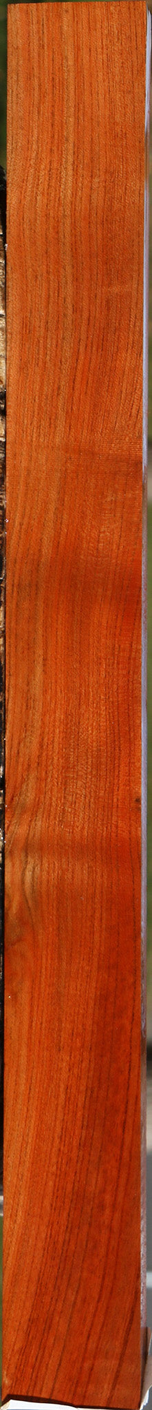 Extra Fancy Pistachio Lumber