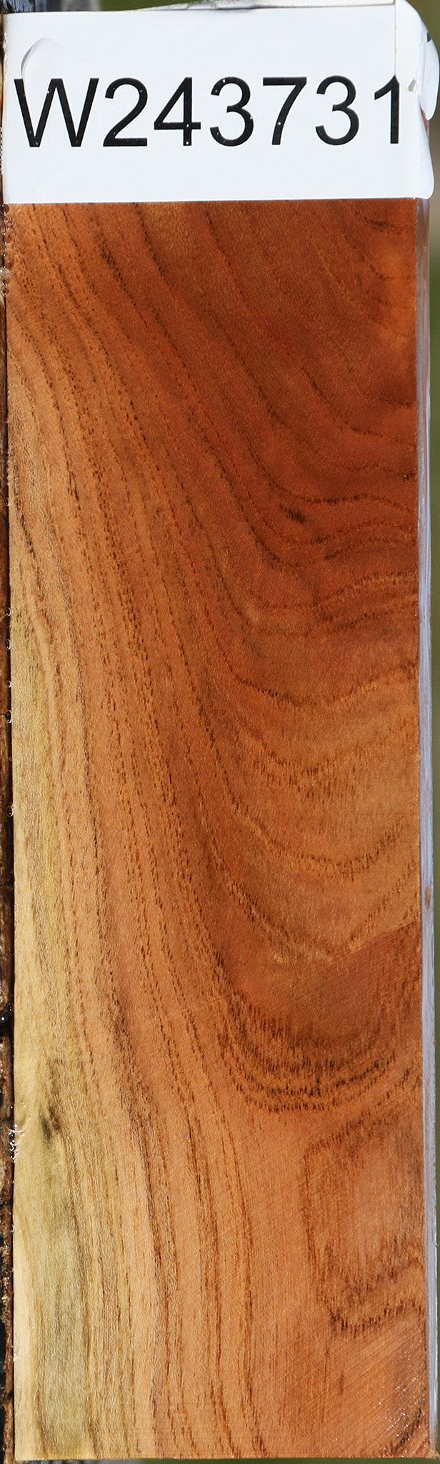 Figured Pistachio Lumber