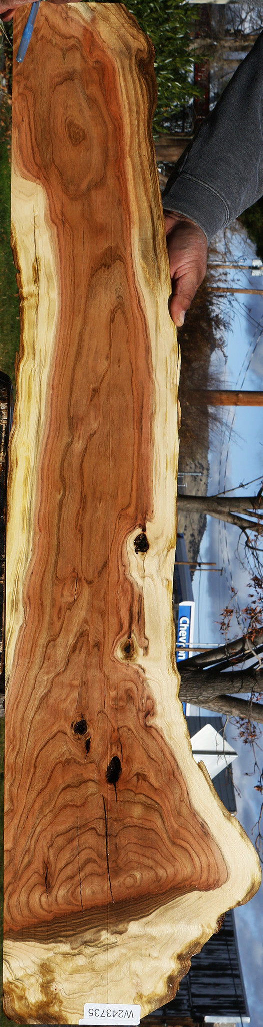 Extra Fancy Rustic Pistachio Live Edge Lumber