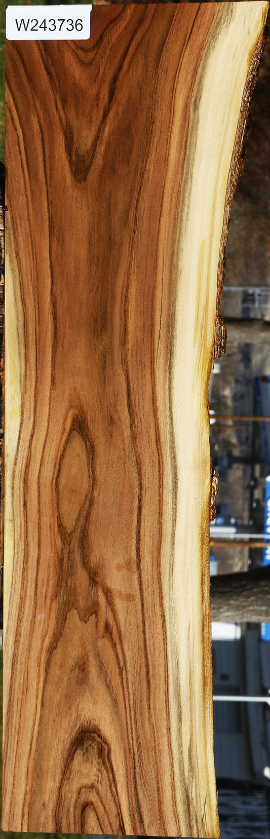 Pistachio Live Edge Lumber