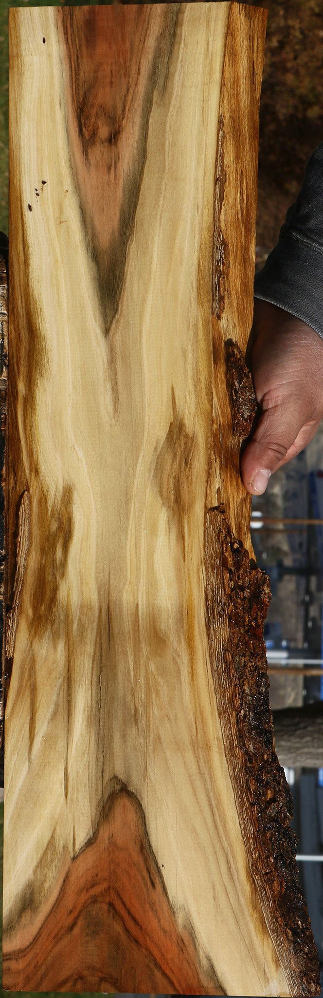 Pistachio Live Edge Lumber