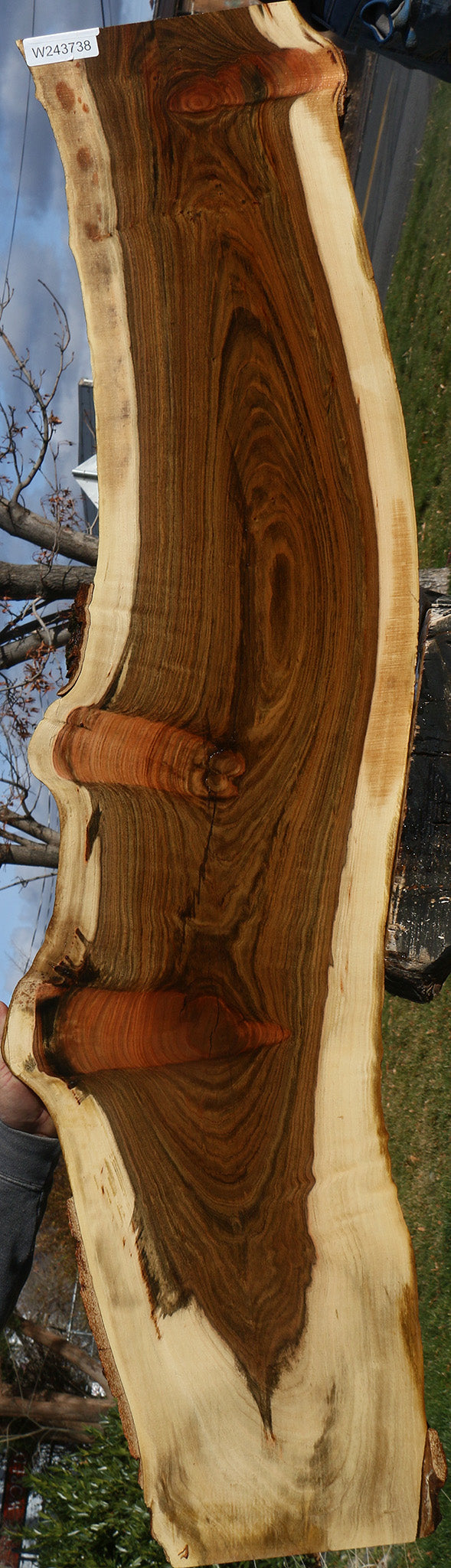 Extra Fancy Pistachio Live Edge Lumber