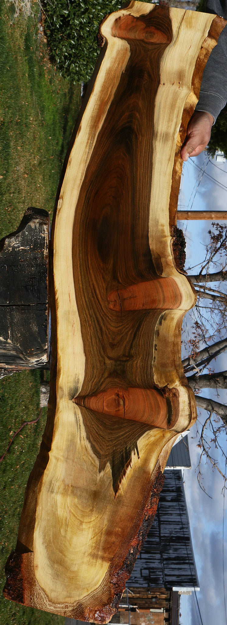 Extra Fancy Pistachio Live Edge Lumber