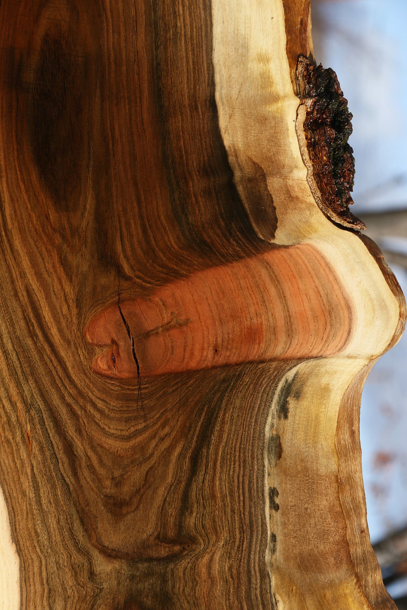 Extra Fancy Pistachio Live Edge Lumber