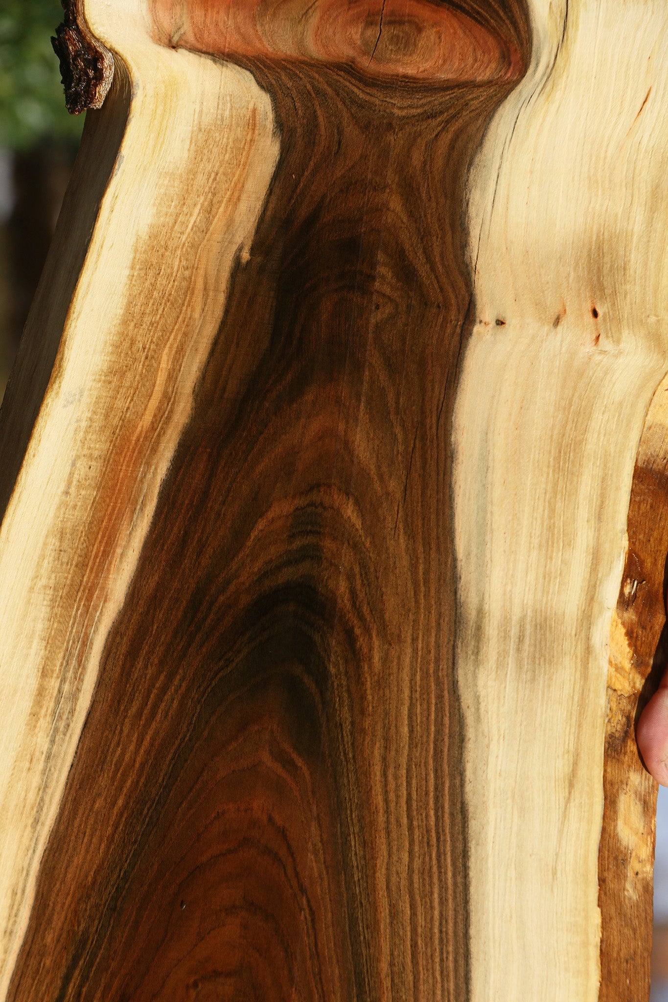 Extra Fancy Pistachio Live Edge Lumber