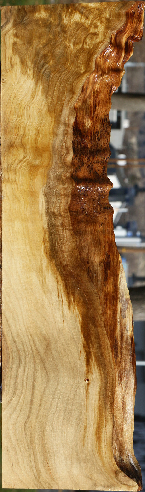 Pistachio Live Edge Lumber