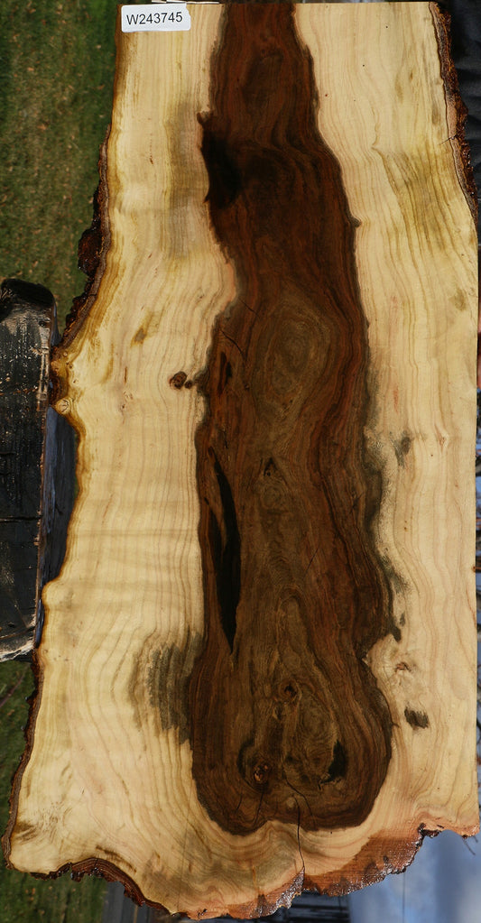 Pistachio Live Edge Lumber
