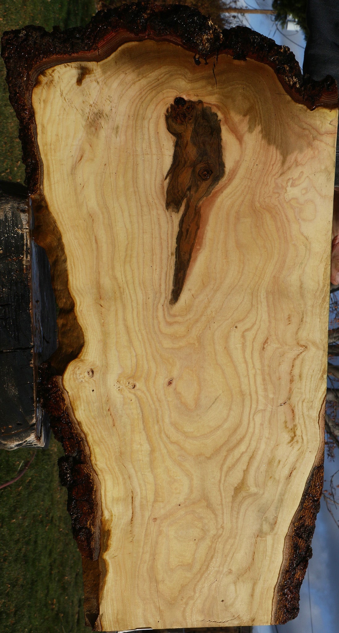 Pistachio Live Edge Lumber