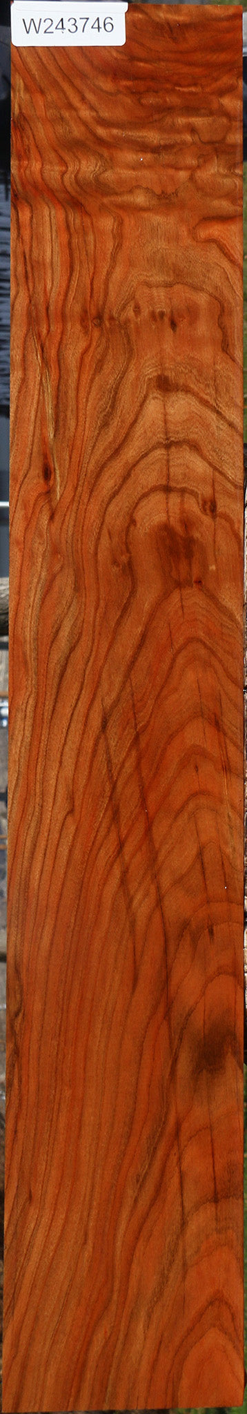 Extra Fancy Pistachio Lumber