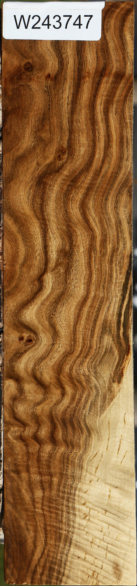 Extra Fancy Pistachio Lumber