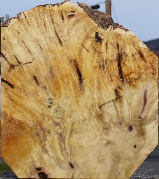 Buckeye Burl Live Edge Bowl Blank