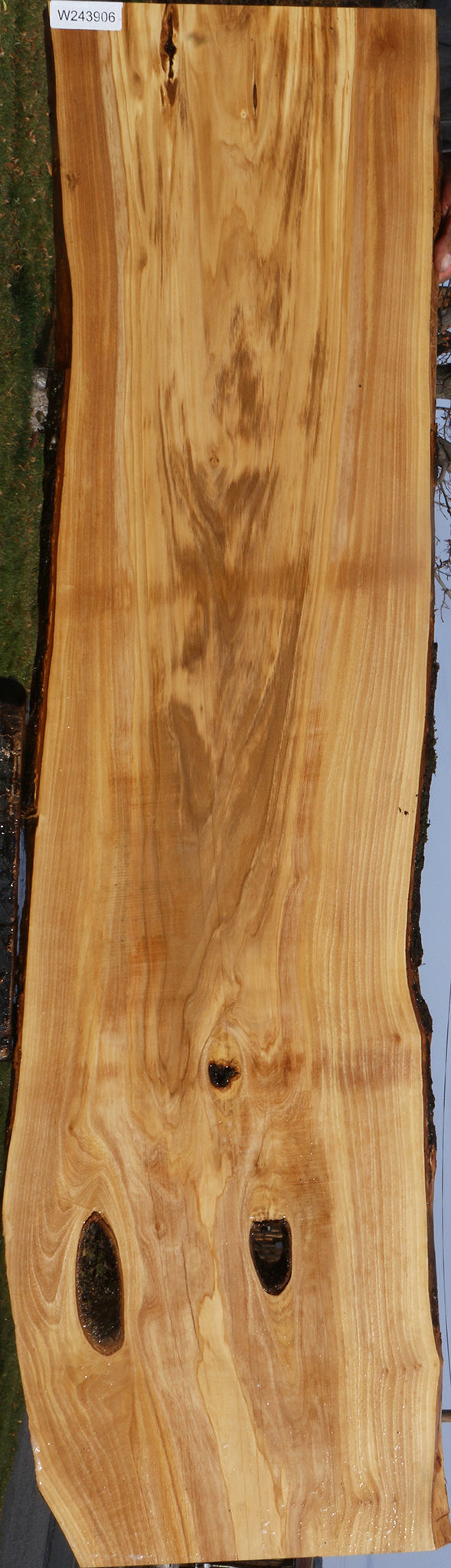 Figured Italian Olive Live Edge Lumber