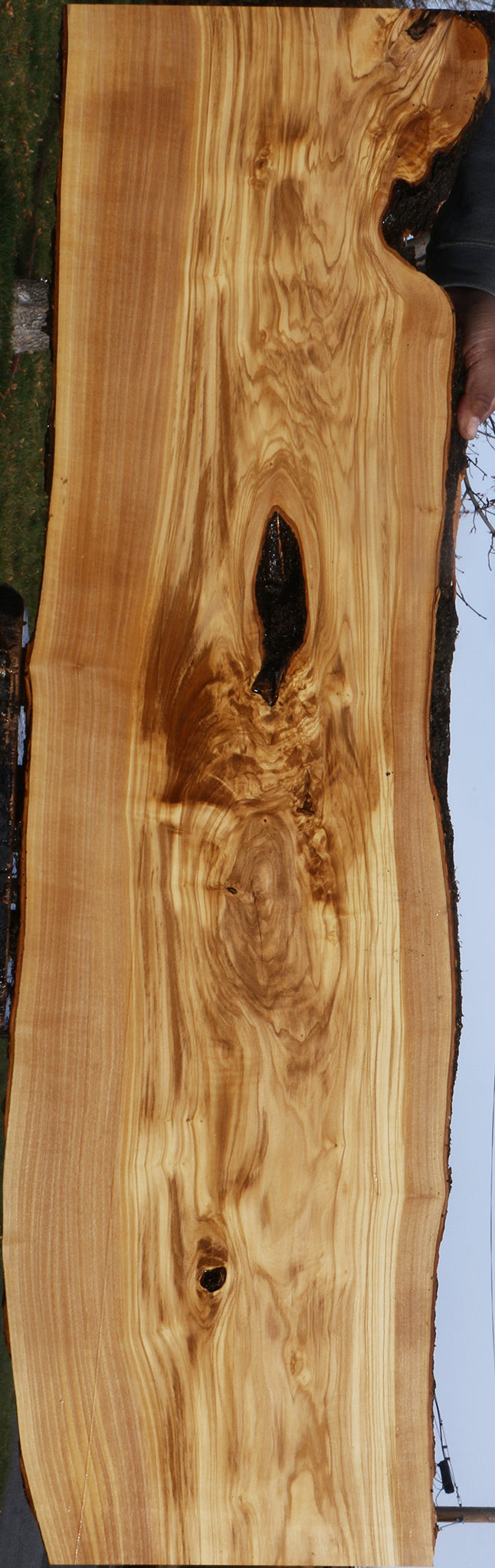 Figured Italian Olive Live Edge Lumber