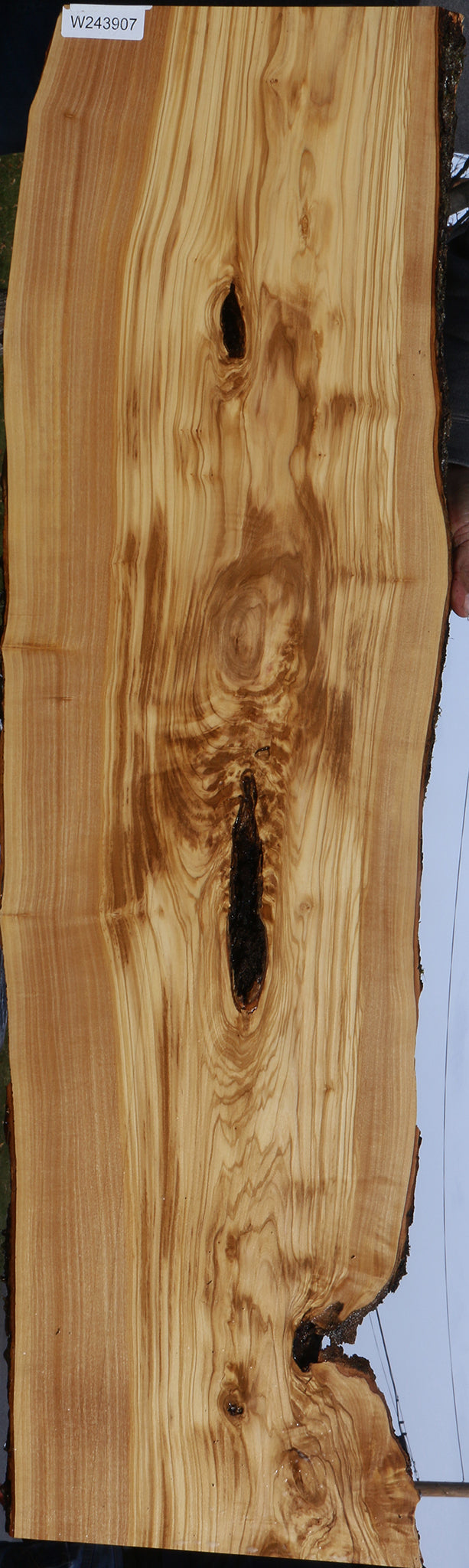 Figured Italian Olive Live Edge Lumber