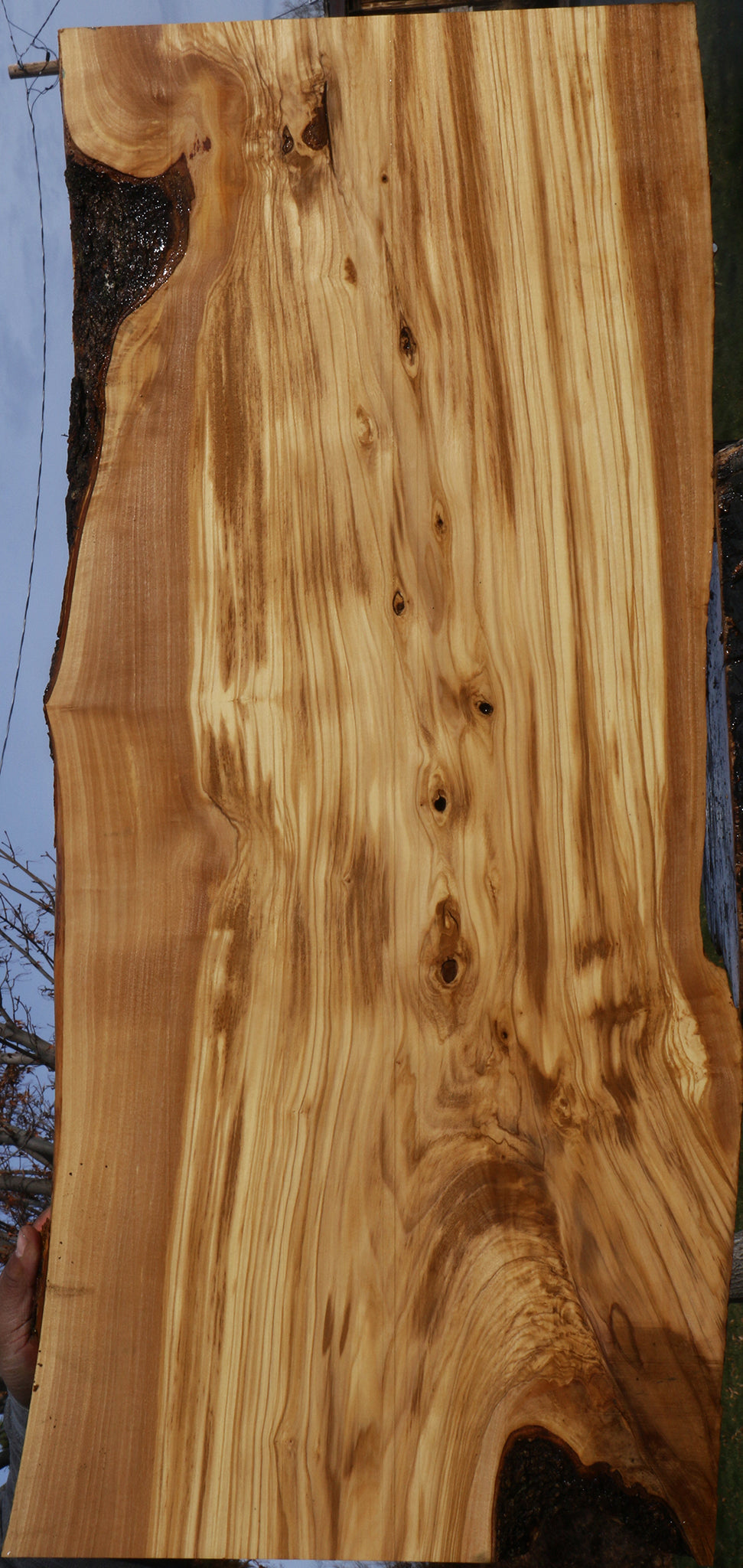 Extra Fancy Italian Olive Live Edge Lumber