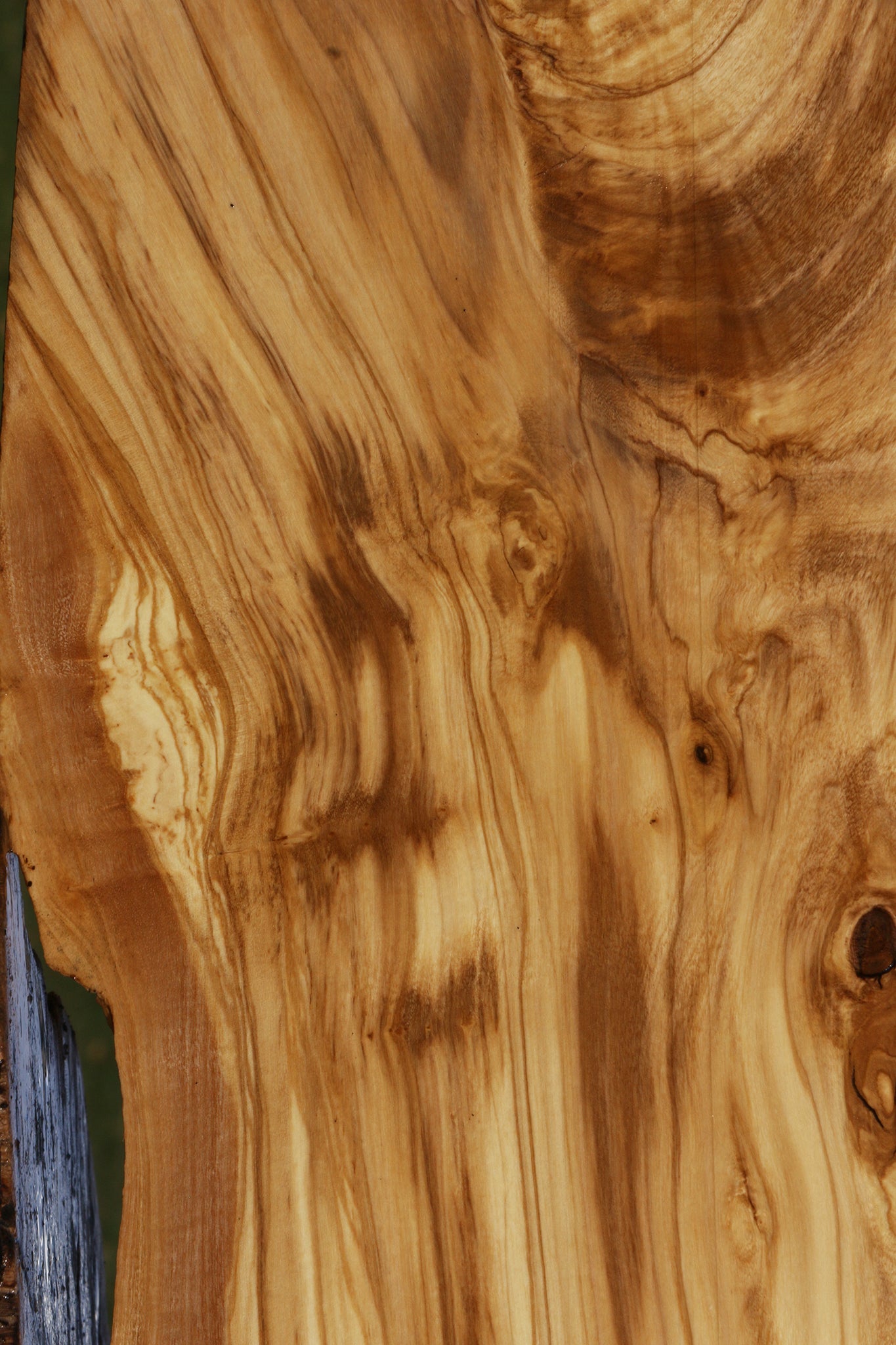 Extra Fancy Italian Olive Live Edge Lumber