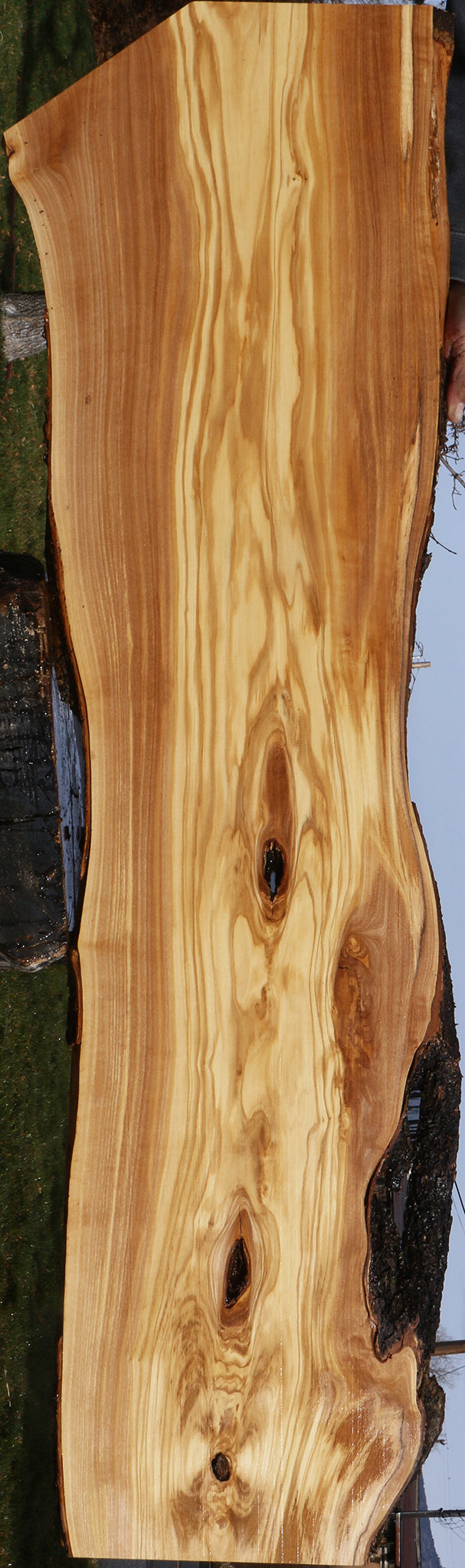 Figured Italian Olive Live Edge Lumber