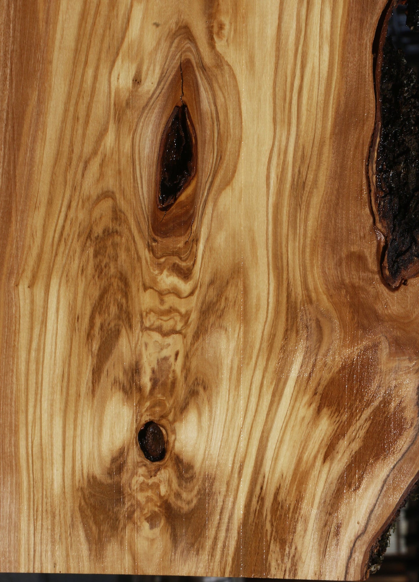 Figured Italian Olive Live Edge Lumber