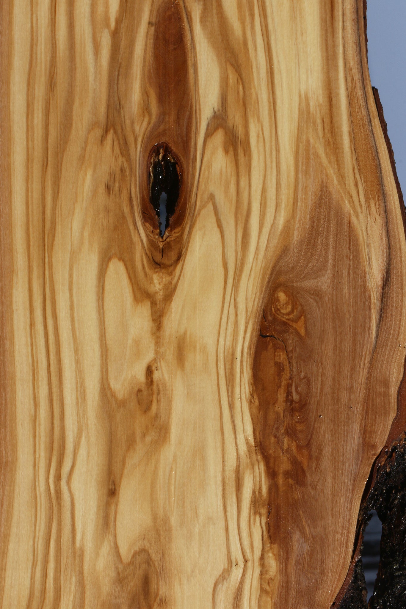 Figured Italian Olive Live Edge Lumber