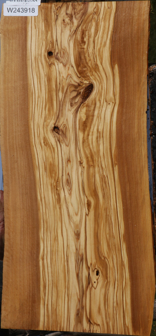 Extra Fancy Italian Olive Live Edge Lumber