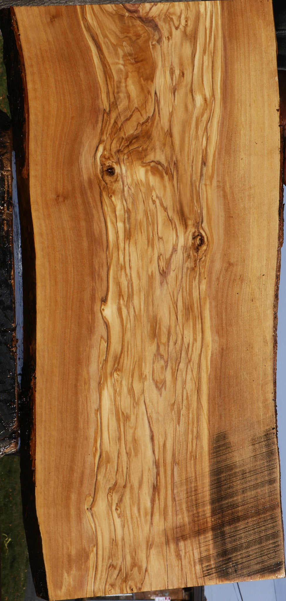 Extra Fancy Italian Olive Live Edge Lumber