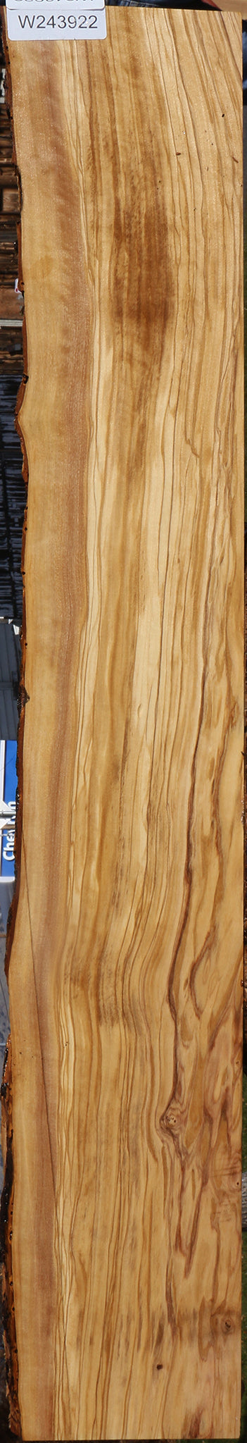 Extra Fancy Italian Olive Live Edge Lumber