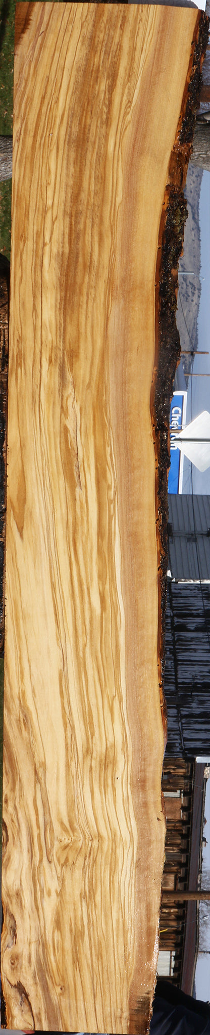 Extra Fancy Italian Olive Live Edge Lumber
