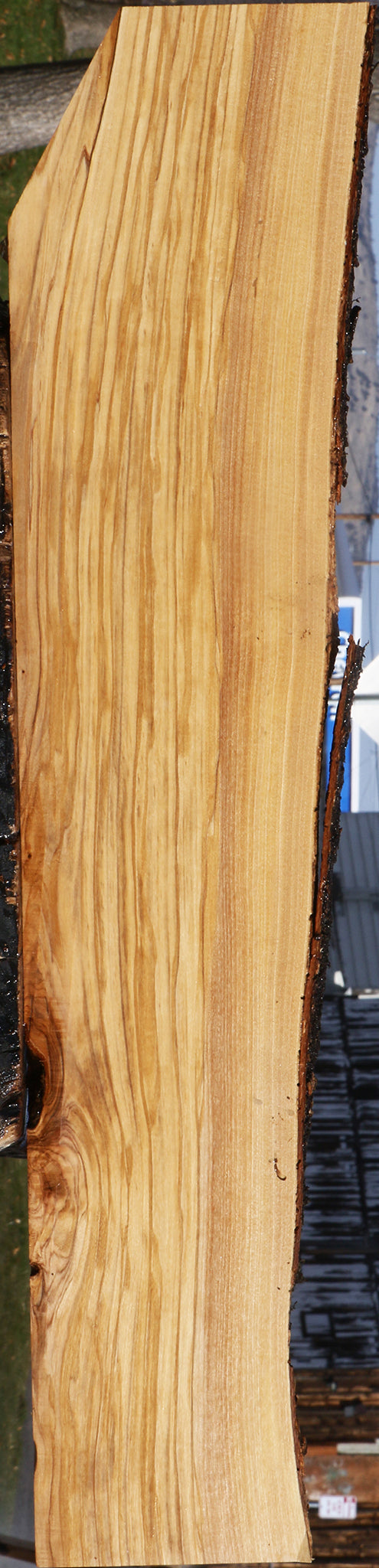 Figured Italian Olive Live Edge Lumber