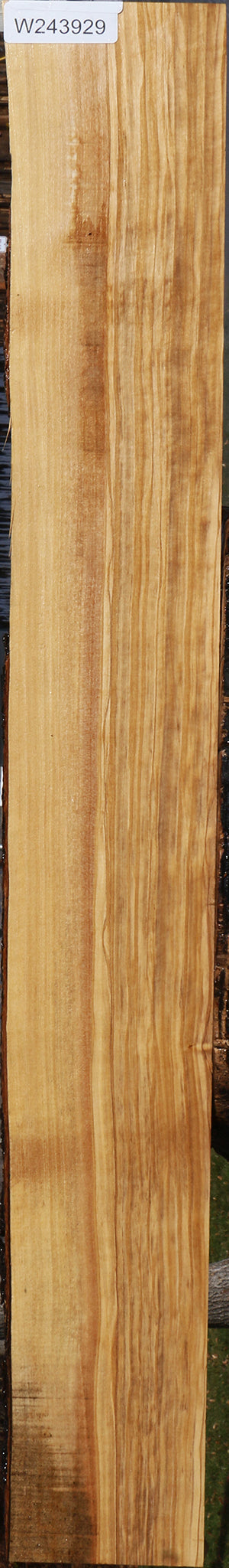 Figured Italian Olive Live Edge Lumber