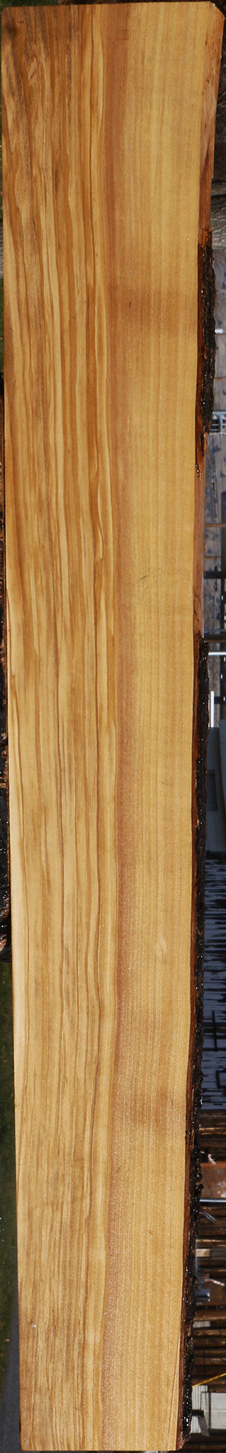 Figured Italian Olive Live Edge Lumber