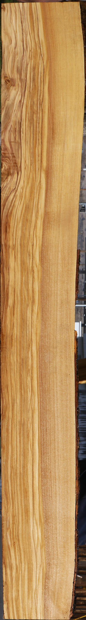 Figured Italian Olive Live Edge Lumber