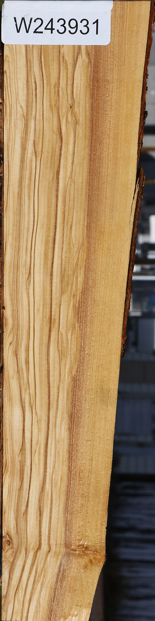 Figured Italian Olive Live Edge Lumber